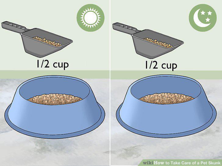 Step 11