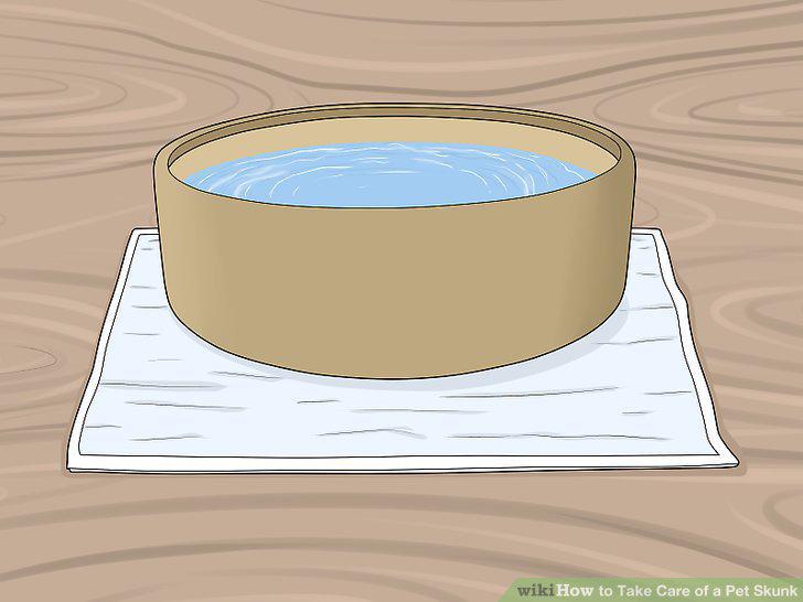 Step 12