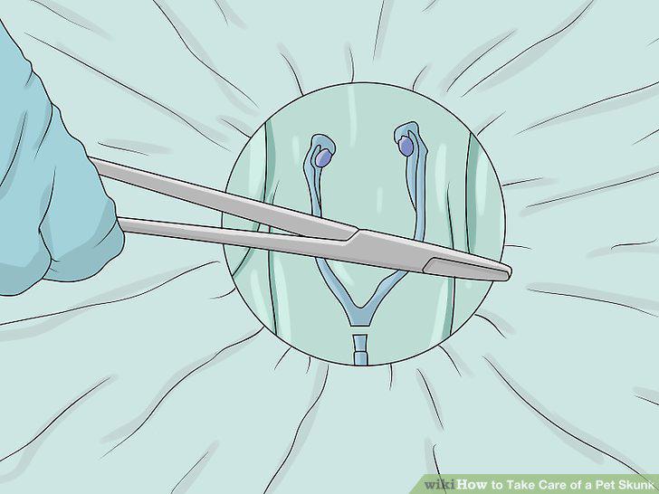 Step 14