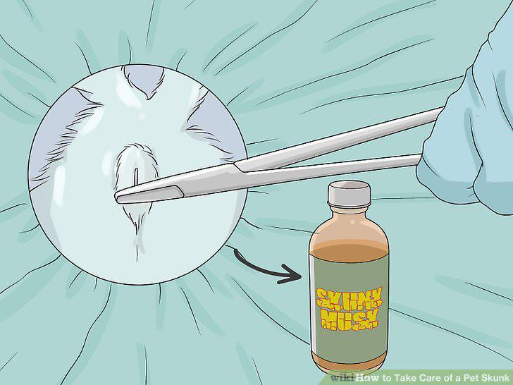 Step 15