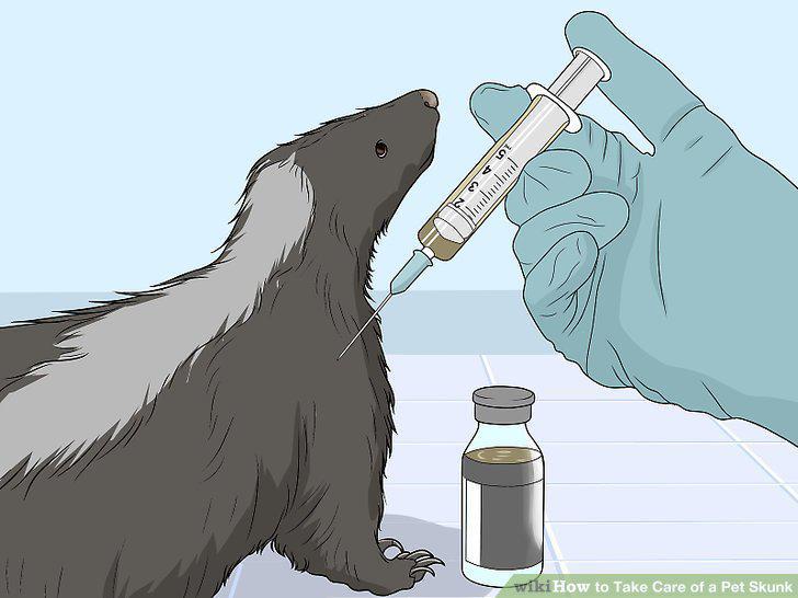 Step 16
