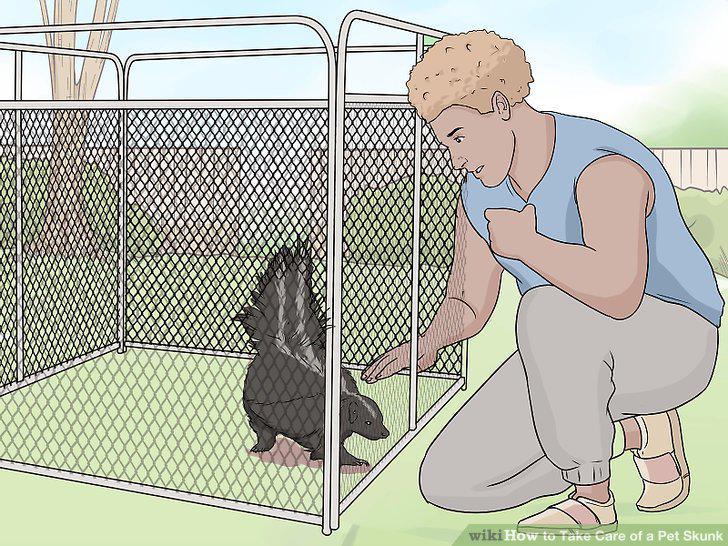 Step 17