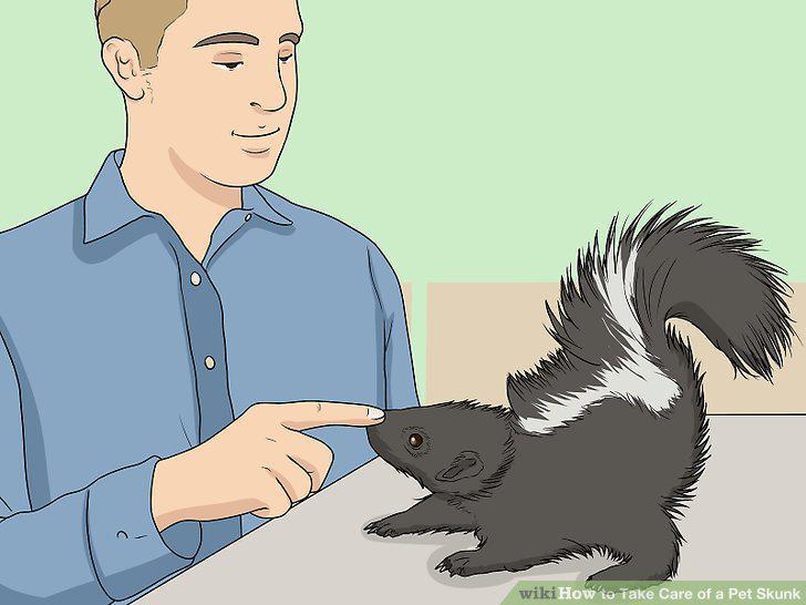 Step 18