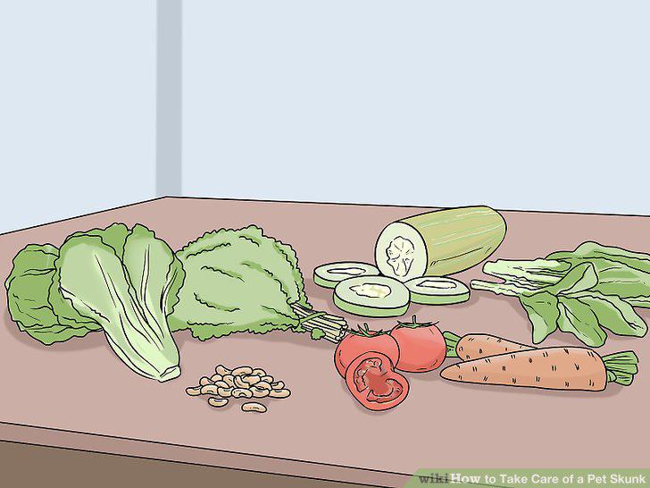Step 9