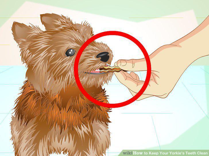 Step 12