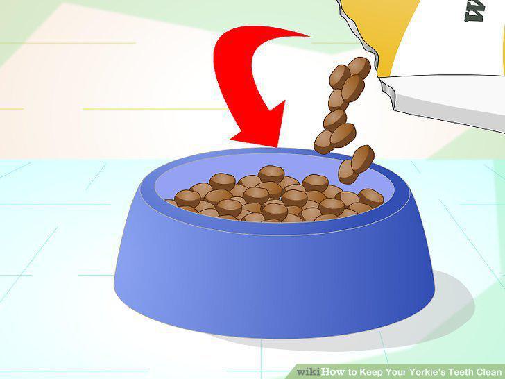 Step 13