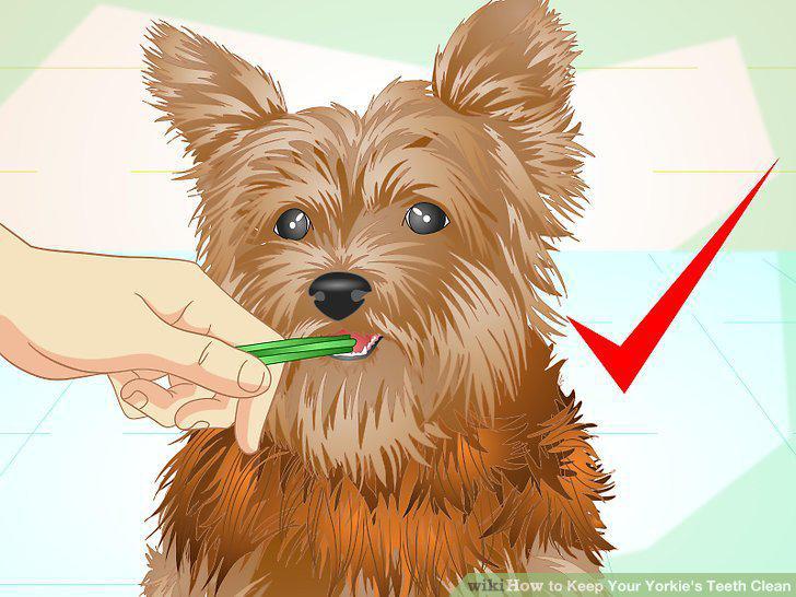 Step 14