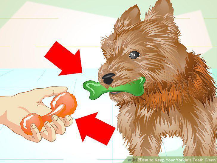 Step 16