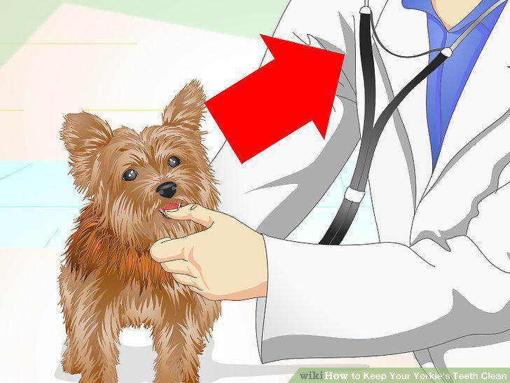 Step 17