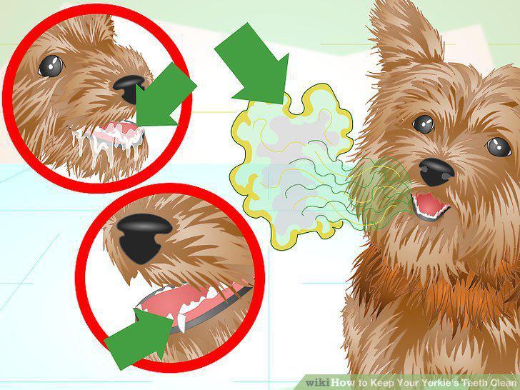 Step 18