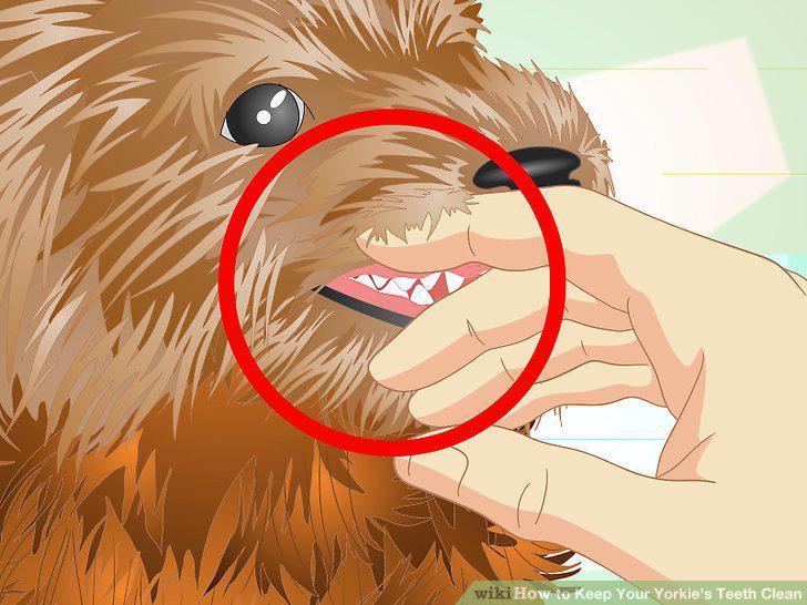 Step 4