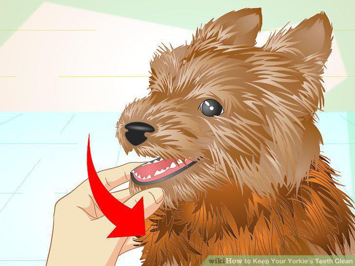 Step 5