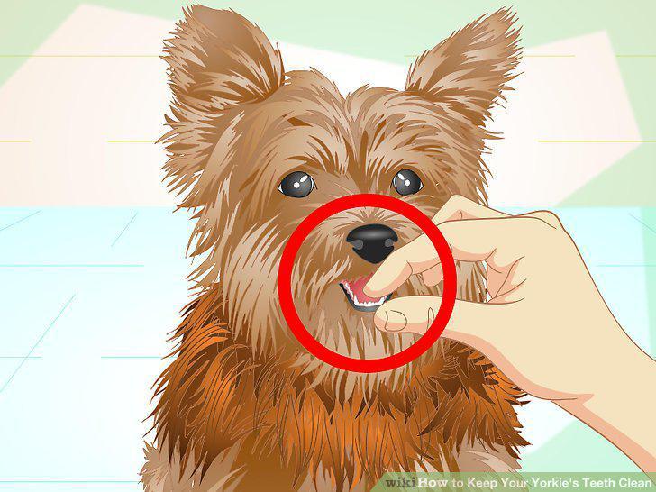 Step 6