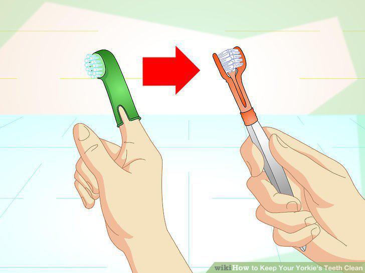 Step 8