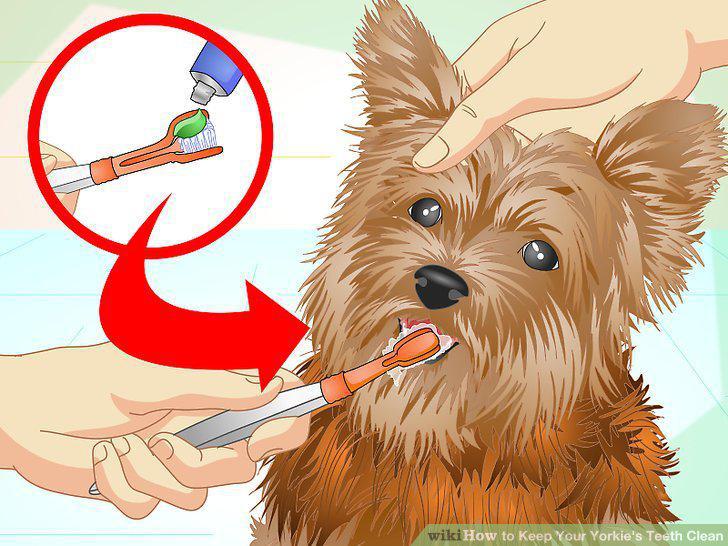 Step 9