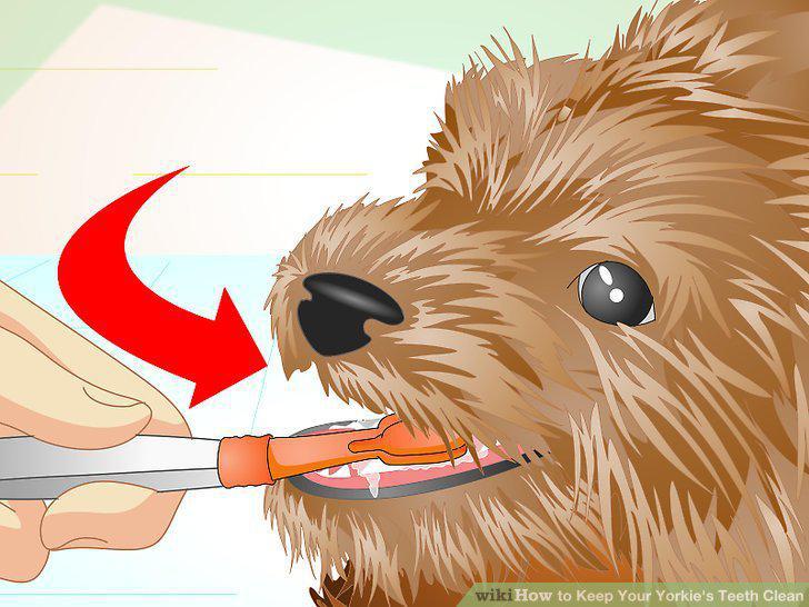Step 10