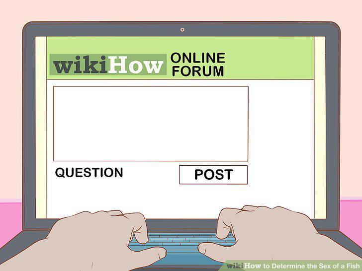 Step 11
