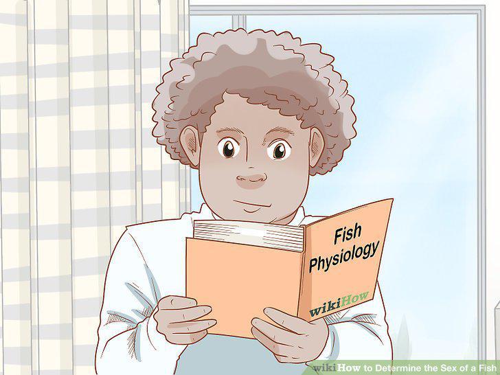 Step 10