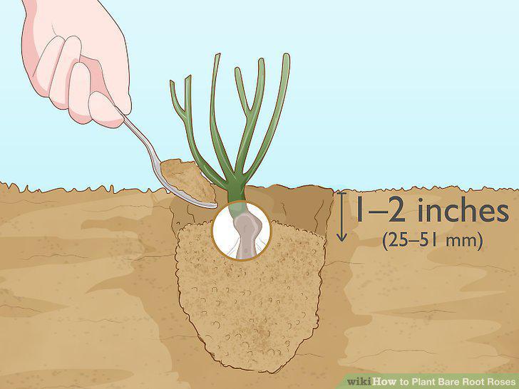 Step 13