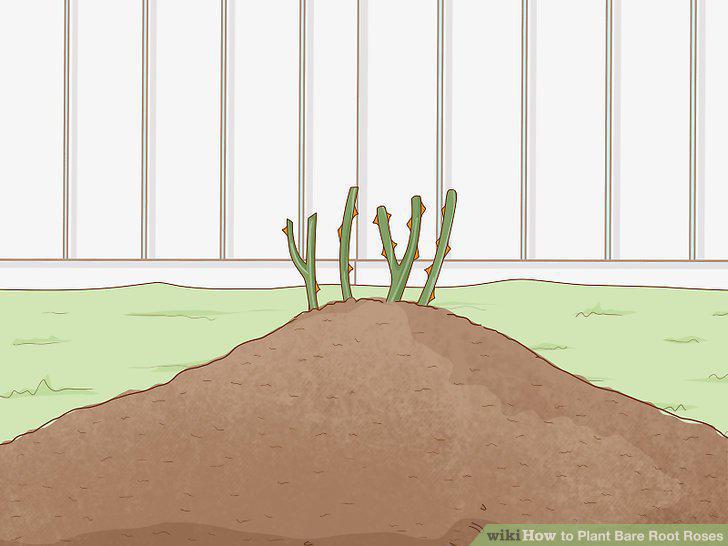 Step 14