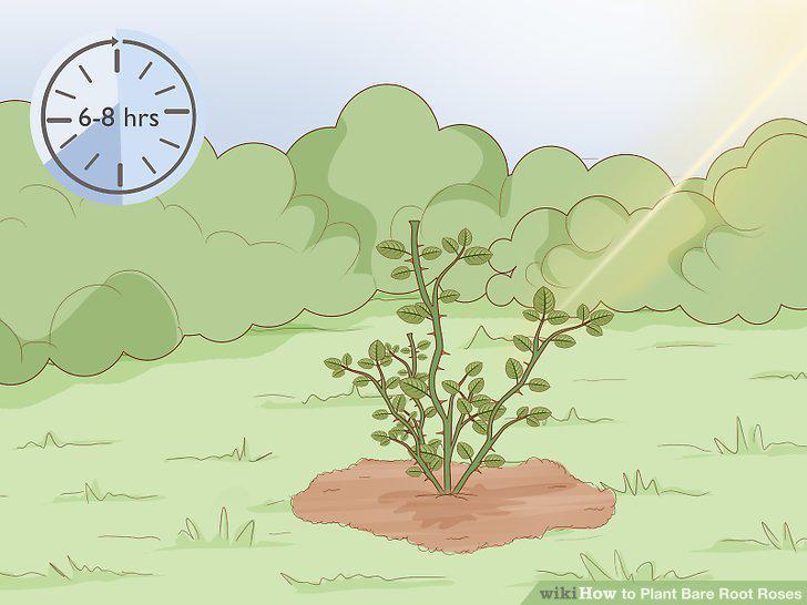 Step 15