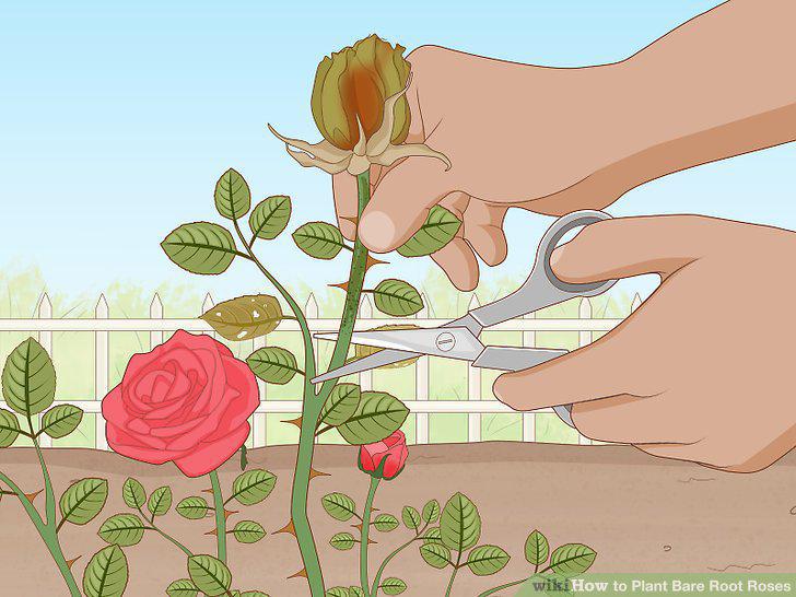 Step 17