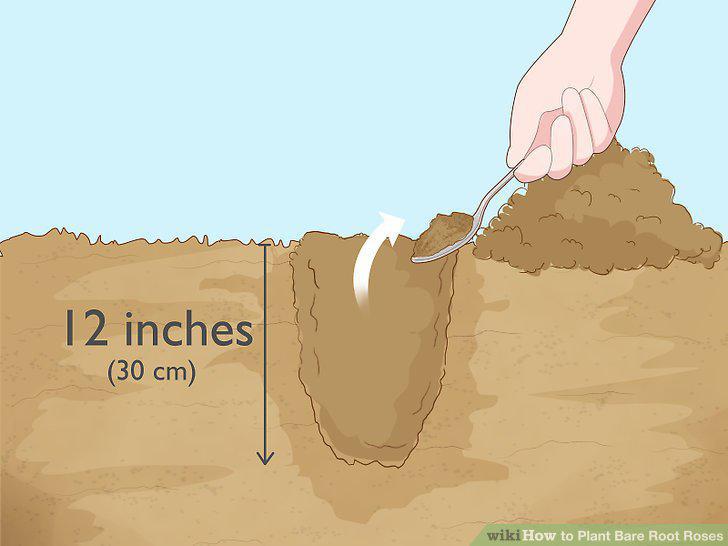 Step 9