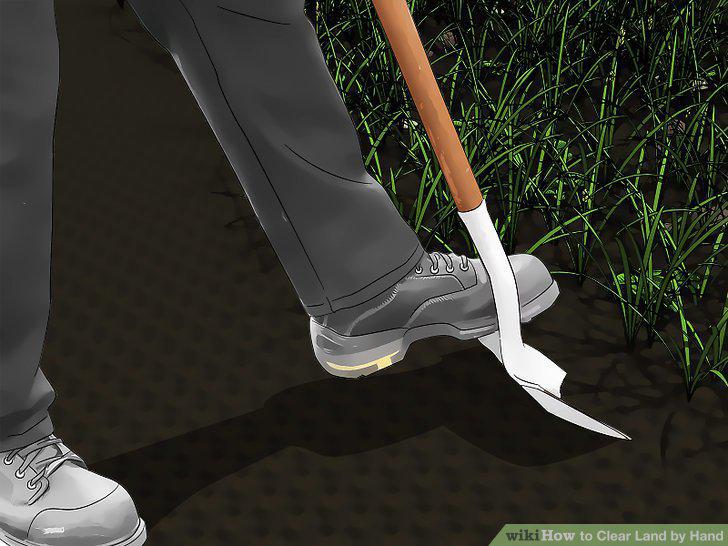 Step 11