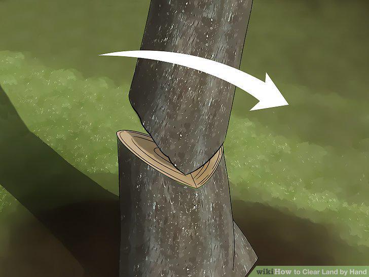 Step 4