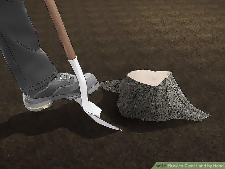 Step 6