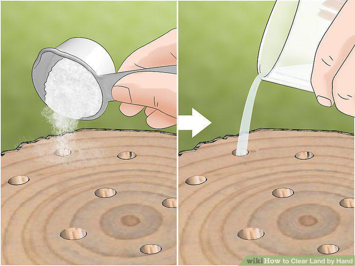 Step 8