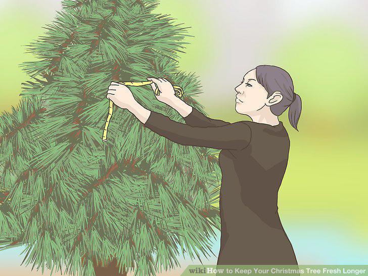 Step 11