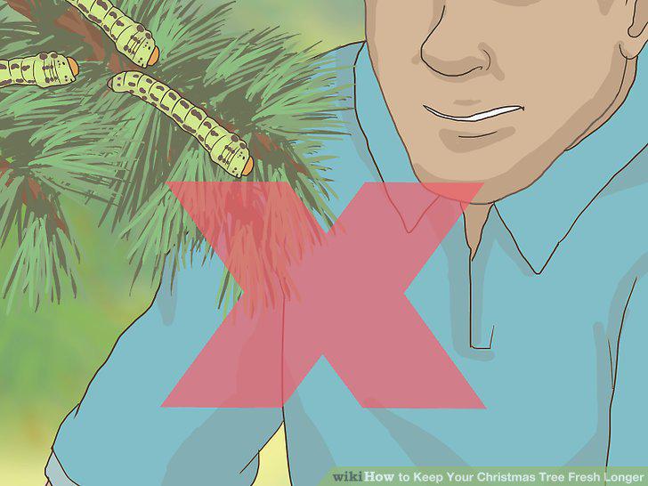Step 5