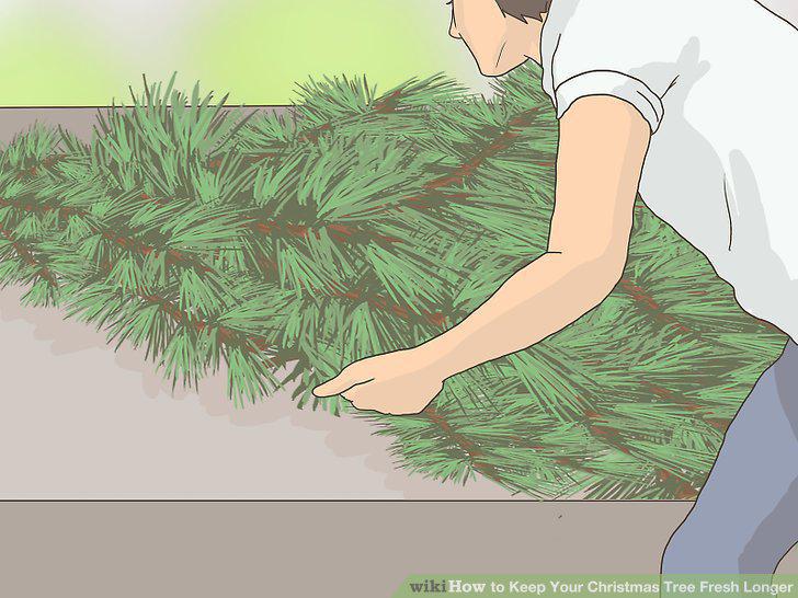Step 7