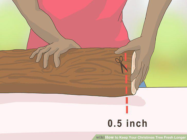 Step 8
