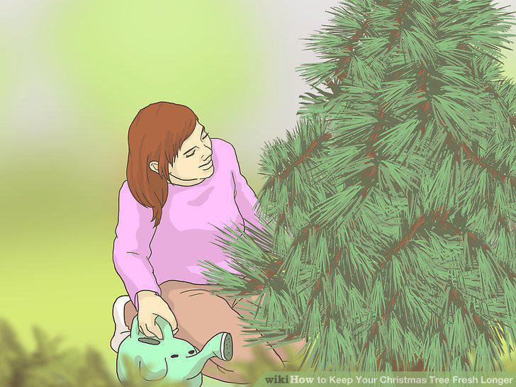 Step 9
