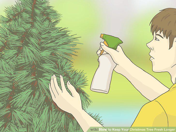 Step 10