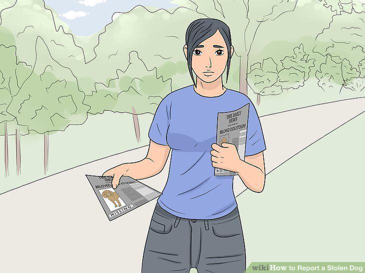 Step 12