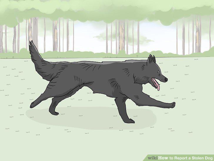 Step 14
