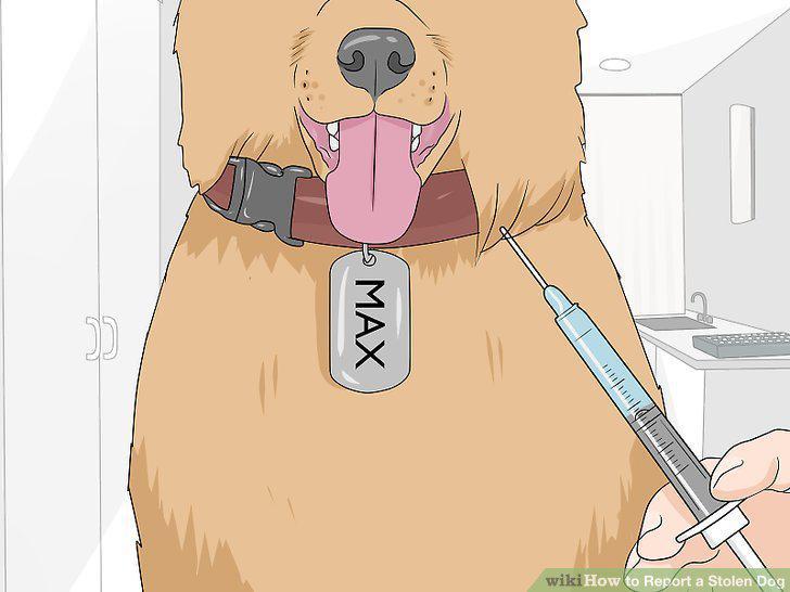 Step 15
