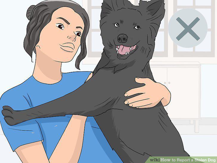 Step 16
