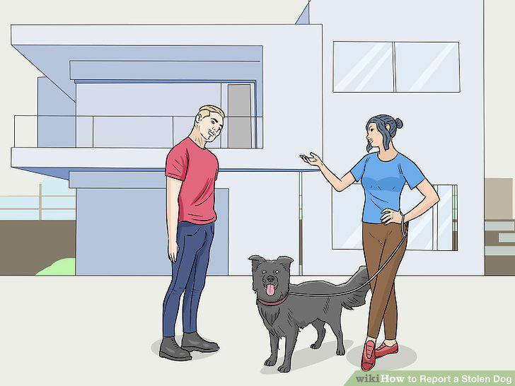 Step 17