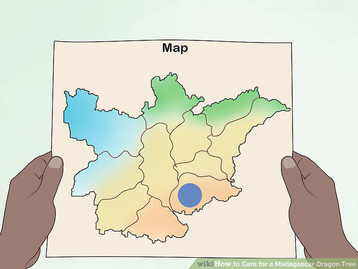 Step 13