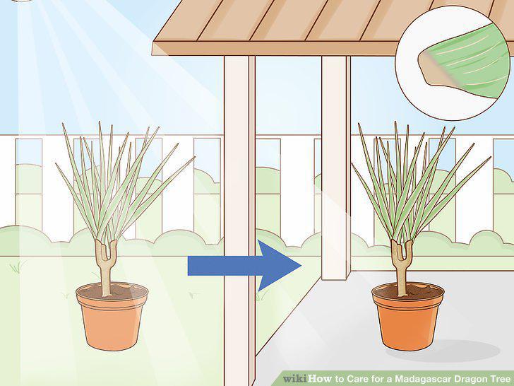 Step 15