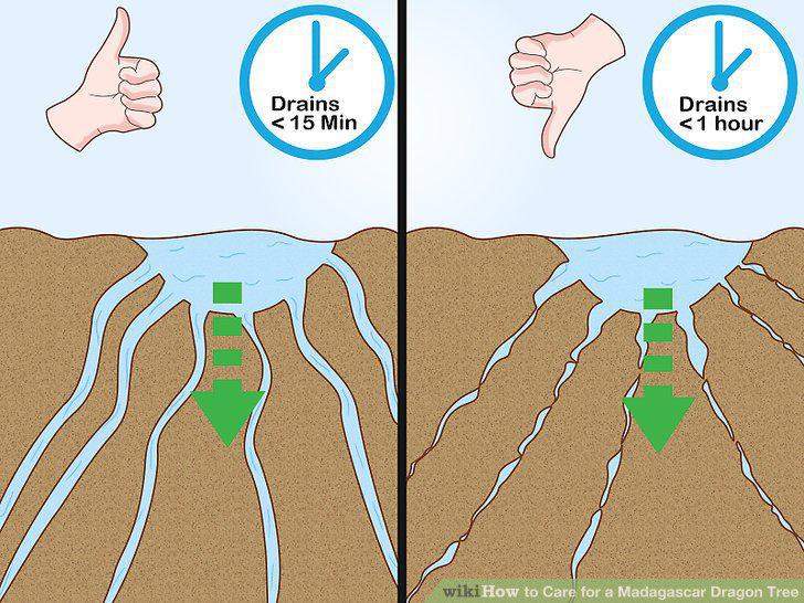 Step 16