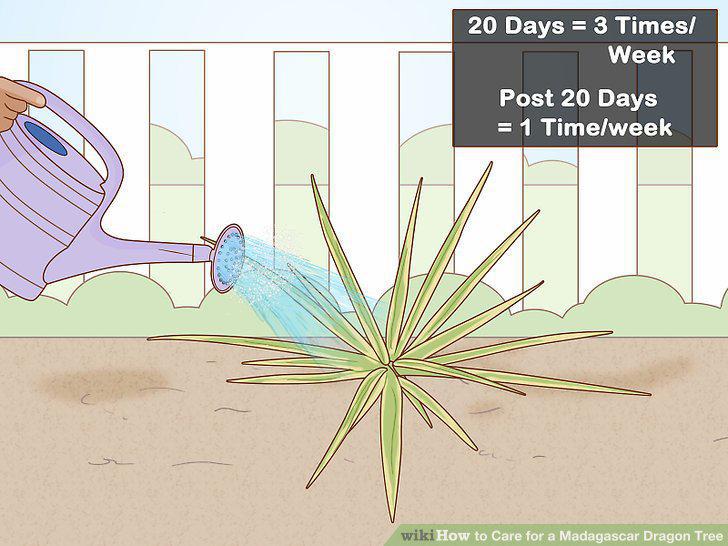 Step 18