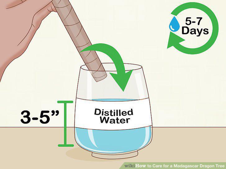 Step 22