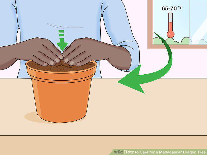 Step 26