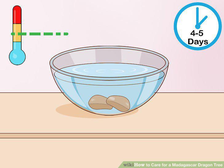 Step 27