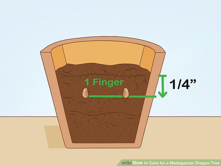 Step 28